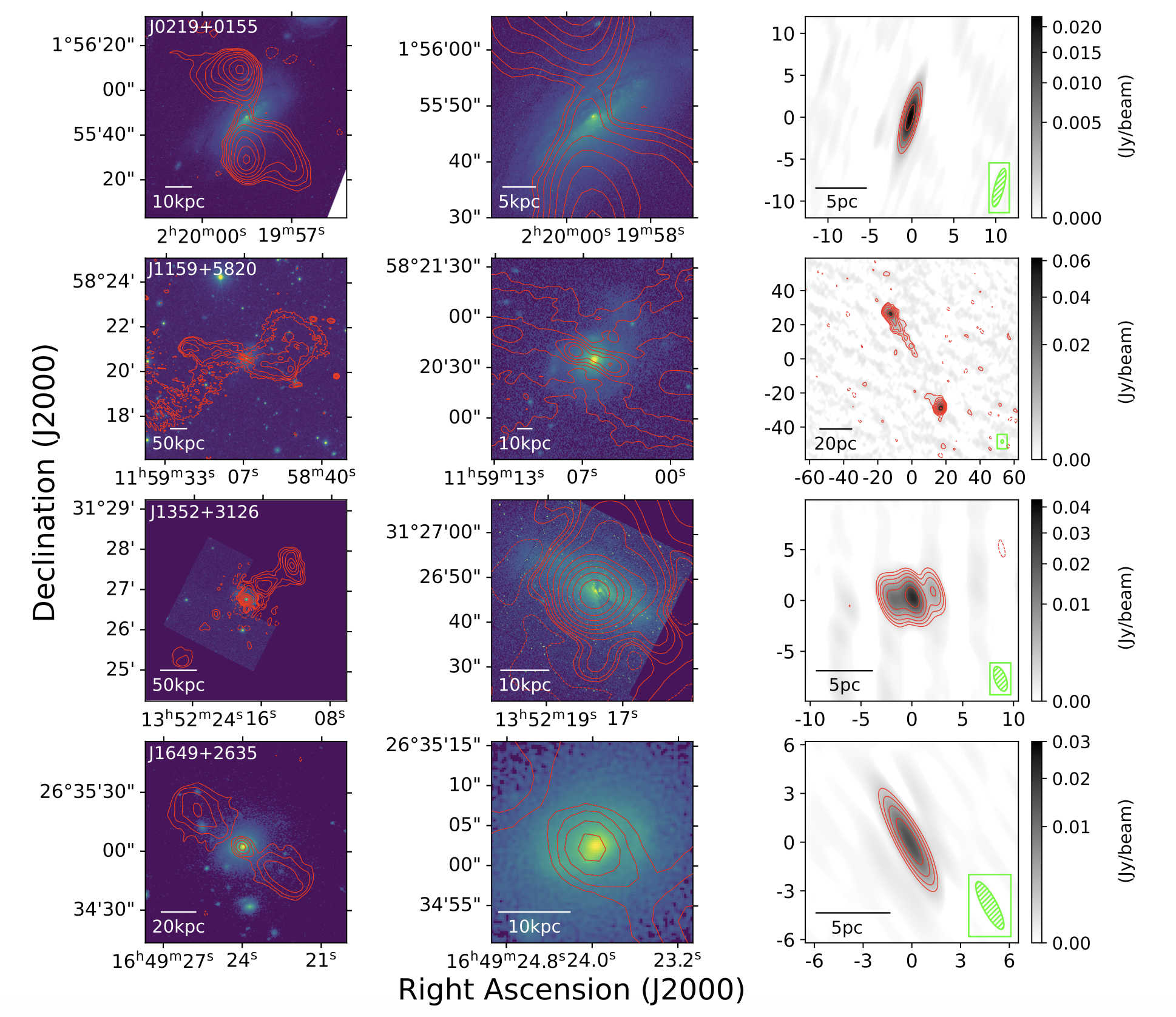 Compact Nuclei in Spiral-hosted Double-lobed Radio-loud Active Galactic Nuclei